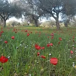 Sparta Filoxenia House דירה