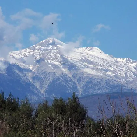 Appartamento Sparta Filoxenia House *