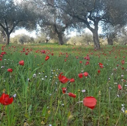 Sparta Filoxenia House Lejlighed